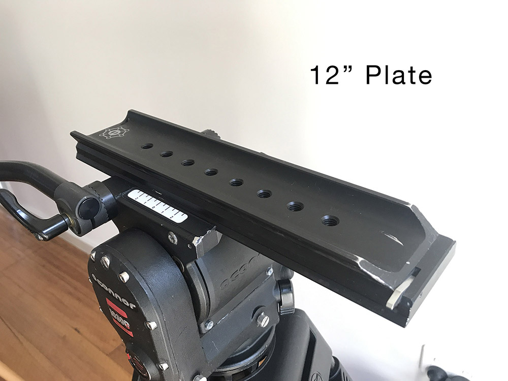 12%20inch%20plate.jpg
